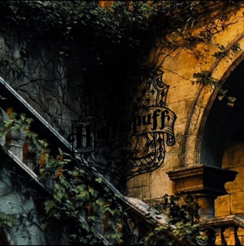 naricssamalfoy:HP MOODBOARDS: hufflepuff common roommore...