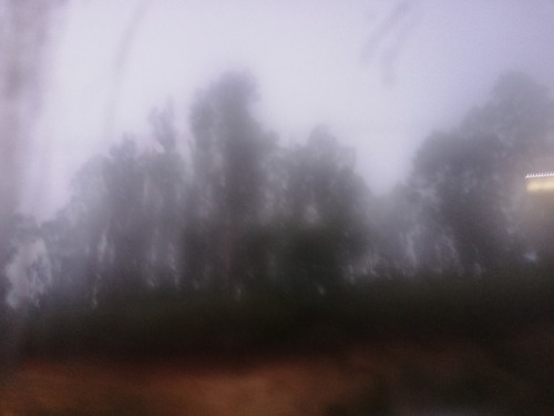 anddresso