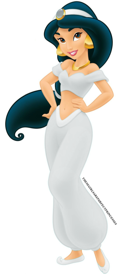 Download - Transparent Princesses match your blog... | Disney Will Thaw