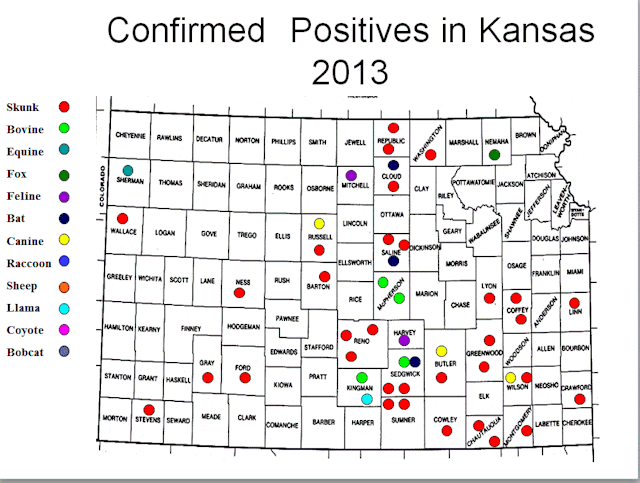 Confirmed Rabies Cases By Species, Kansas, 2013... - Maps on the Web