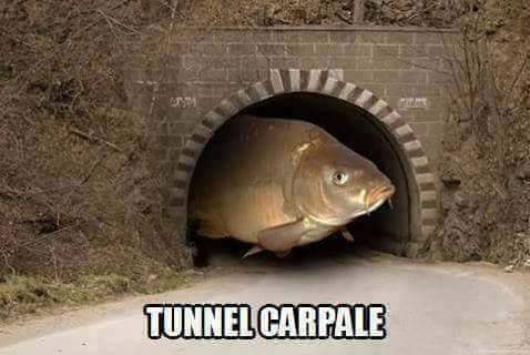 Tunnel Carpale!