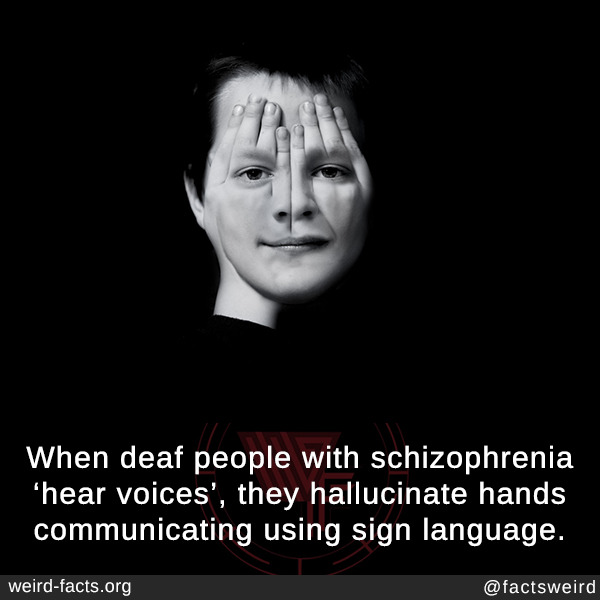 schizophrenia facts Tumblr