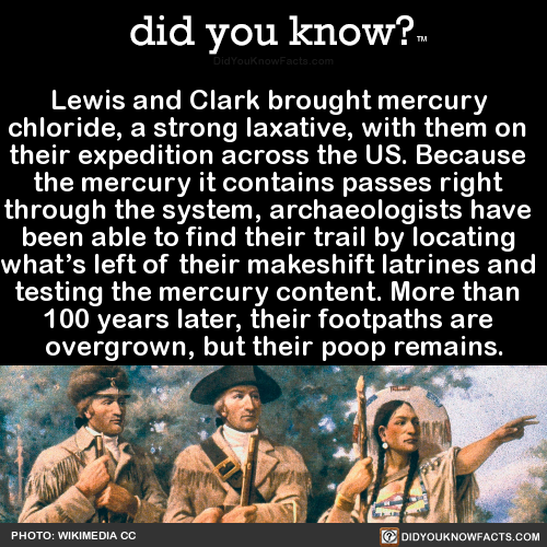 lewis-and-clark-brought-mercury-chloride-a-strong