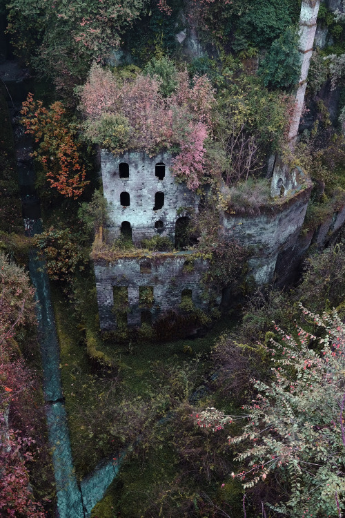 scavengedluxury:The Valley of the Mills. Sorrento, November...