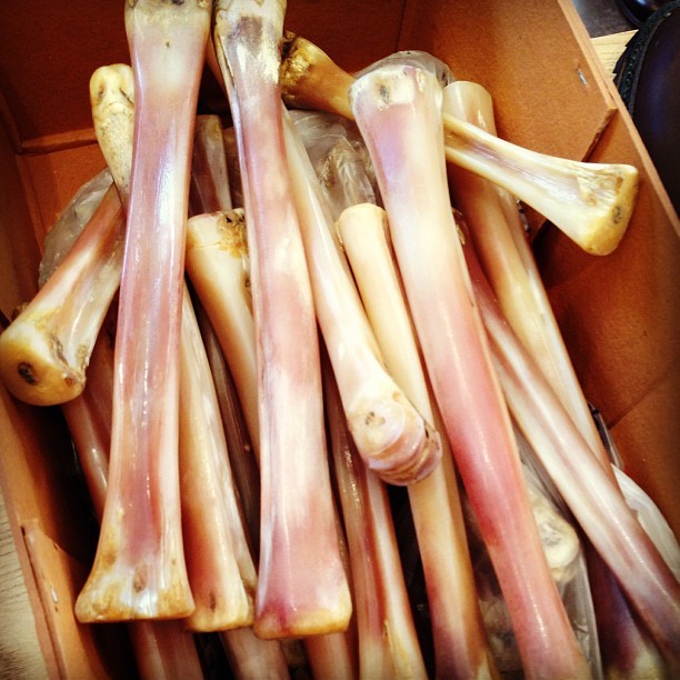 shell cordovan deer bone
