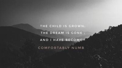 Comfortably Numb Lyrics Tumblr