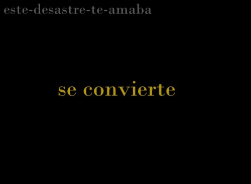 este-desastre-te-amaba:La sinfonía del alma.