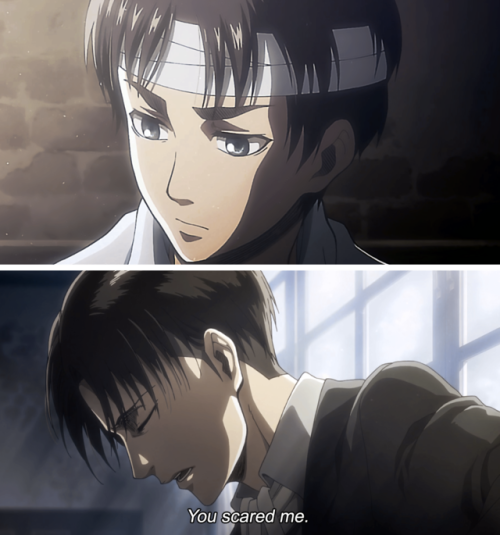 yaboylevi:「Friendship; Flowers; Touch; Commitment」＊Purple...