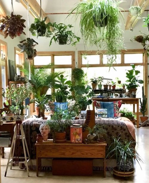 maeganbobaegan:Greenhouse Lounge white walls, shelves, ladder,...