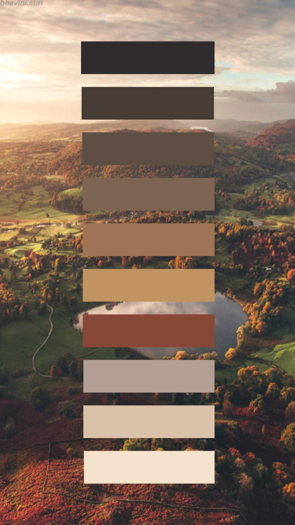 bhavinisuri:Anon Request - Colour Palette...