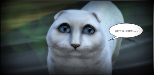 anakel13ts4stuff