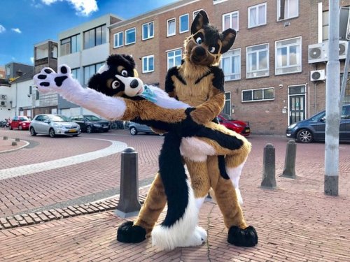 fursuitpursuits:RT @AceShepherd: Me and my ❤️doggo...