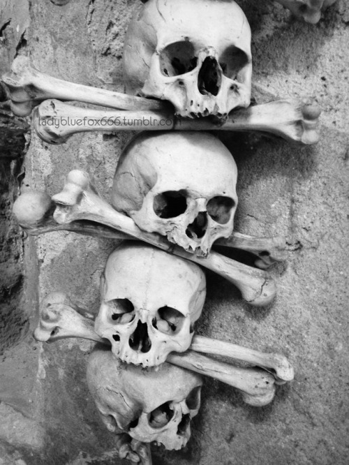 ladybluefox666:The Sedlec Ossuary, Kutna Hora, Czech.And...