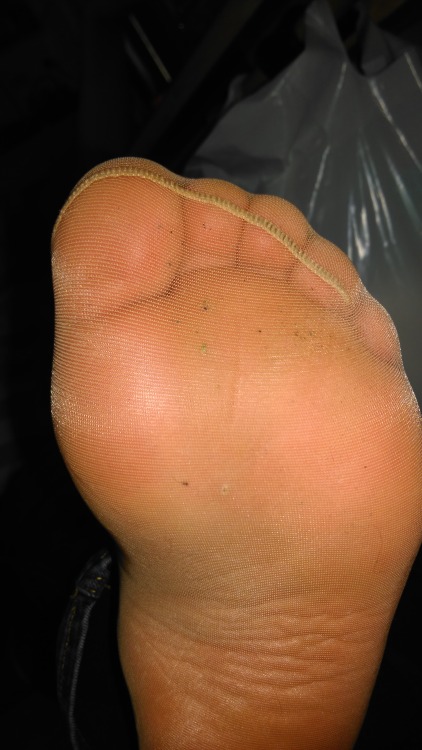 my wifes sweaty Nylon Feet