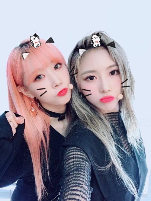 7-dreamers:[181006] Twitter Update (1 /3):[#Handong] We are...