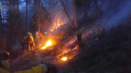 Wildland fire