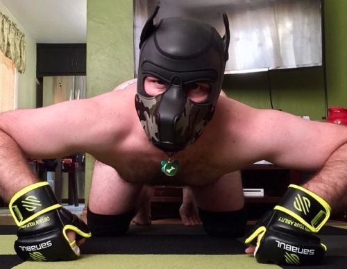 @Apoisonedpup