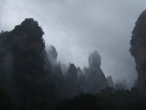 luciferlaughs:Tianzi Mountains, China.