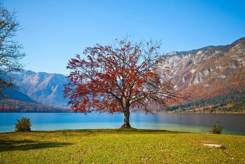 traveltoslovenia:LAKE BOHINJ, Slovenia - Slovenia’s largest...