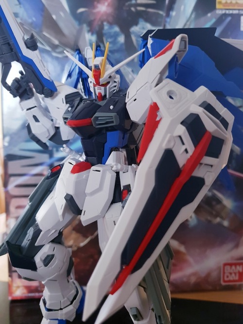 saintgunpla:1/100 MG Freedom Gundam 2.0 WIP (Still requires...