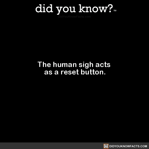 the-human-sigh-acts-as-a-reset-button-source