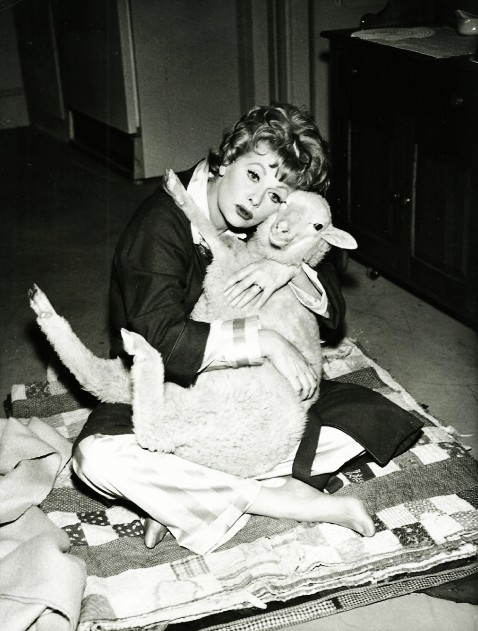478px x 631px - WeirdVintage â€” Lucille Ball with sheep (via This is Not Porn)
