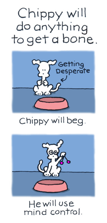 chippythedog