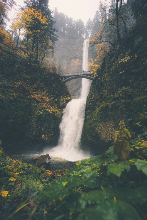 kcrdnk:lsleofskye:Multnomah Falls | nikk_la K