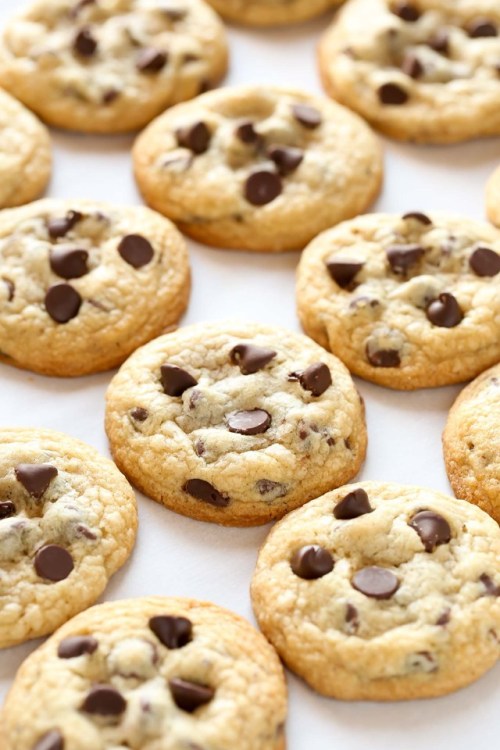 chocolate chip cookies on Tumblr