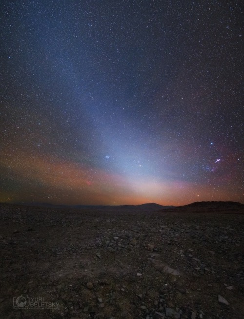 just–space:Zodiacal Light or false dawn taken at night along...