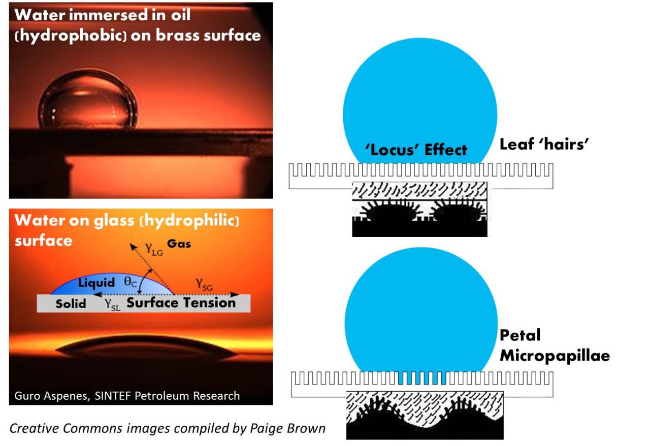 Lotus effect пропитка