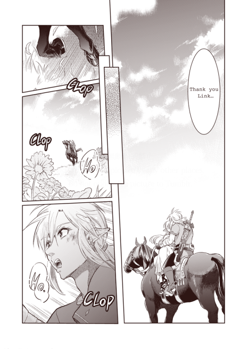 nanamename:I made my ZeLink comic English ver!My English is not...