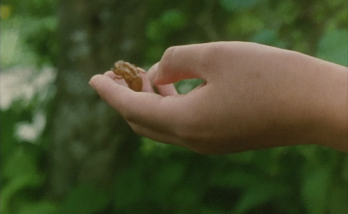 aixatumbrl:Moe no suzaku | Naomi Kawase | 1997