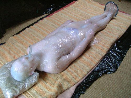 objectd:androphilia:Silicone MummificationThis is an...