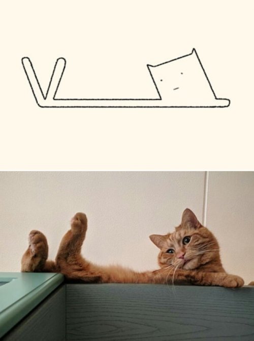 catasters