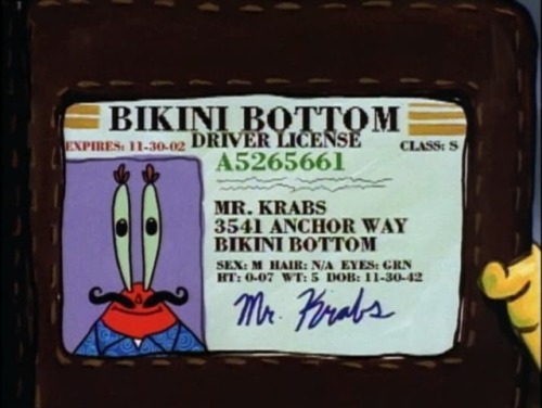 somenerdthing:Spongebob is 31 years old, but i think the real...