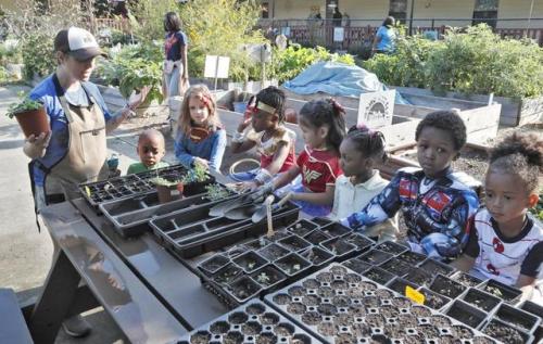 solarpunks:Preschool growing fruits and veggies ordered by...