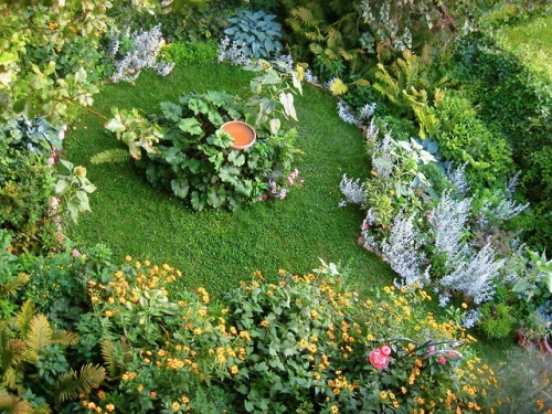 geopsych:Some people asked for garden pictures. I think 2014 was...