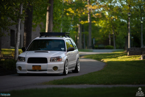 subarufans:I want this fozzy!Do you love Subarus? Then follow...