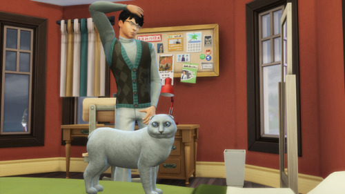 anakel13ts4stuff