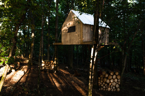 purebushcraft:treehauslove:Treehouse in Quebec. A perfectly...