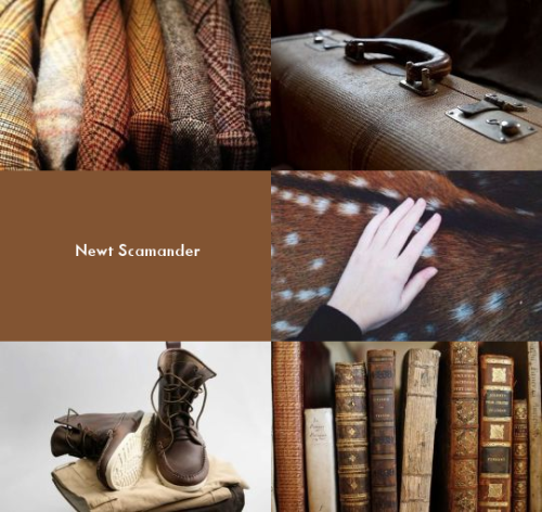 awsp-girl:1000 Picspams Challenge │ Fantastic Beasts and Where...