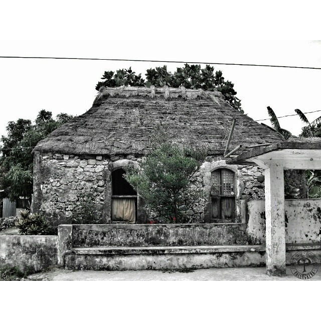 Palengkera (The Ivatan house called Rakuh, predominantly ...