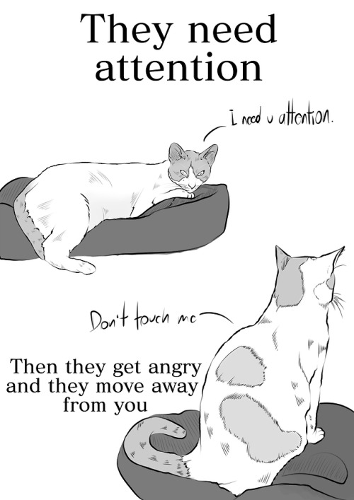 One day I was blockedThen I decided to draw my cats, then I saw...