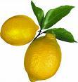 Razón económica.
Durante siglos, los marineros murieron, sin saberlo, a causa de la deficiencia en vitamina C. En 1754, un médico escocés descubrió empíricamente que el consumo de limones podría evitarlo. En 1795, el Almirantazgo ordenó que los...