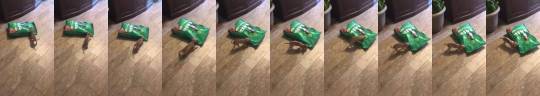 catsbeaversandducks:  1 pound chihuahua vs. 15 pound bag of dog foodMy money’s on the doggie.Video by Ryder The Survivor