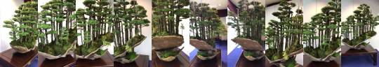 sixpenceee:Tiny trees, an awesome Bonsai display. Posted by  byu/N8theIngr8