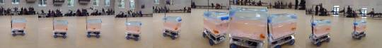 caantt:  sixpenceee: By using a camera and computer vision software it is possible to make a fish control a robot car over land. By swimming towards an interesting object, the fish can explore the world beyond the limits of his tank. Via Studio diip