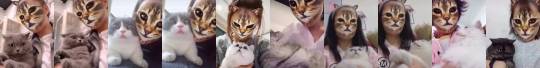 glitterystarseed:  thenatsdorf: Cat NO likey! adult photos