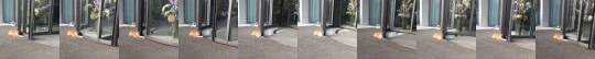 everythingfox:   Cat loves touching the revolving door